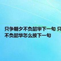 只争朝夕不负韶华下一句 只争朝夕不负韶华怎么接下一句