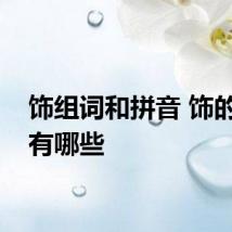 饰组词和拼音 饰的组词有哪些