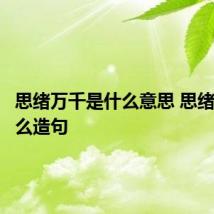 思绪万千是什么意思 思绪万千怎么造句