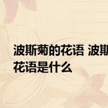 波斯菊的花语 波斯菊的花语是什么