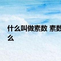 什么叫做素数 素数叫什么