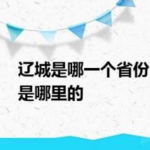 辽城是哪一个省份 聊城是哪里的