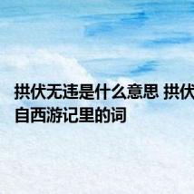 拱伏无违是什么意思 拱伏无违出自西游记里的词