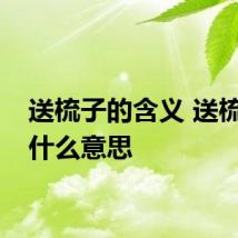 送梳子的含义 送梳子有什么意思