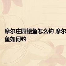 摩尔庄园鳗鱼怎么钓 摩尔庄园鳗鱼如何钓