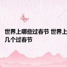 世界上哪些过春节 世界上都有哪几个过春节