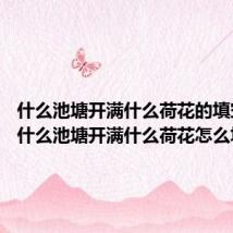 什么池塘开满什么荷花的填空 关于什么池塘开满什么荷花怎么填