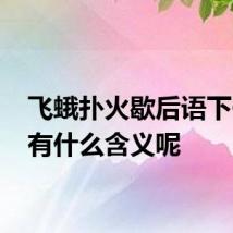 飞蛾扑火歇后语下一句 有什么含义呢
