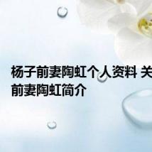 杨子前妻陶虹个人资料 关于杨子前妻陶虹简介