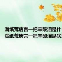 满纸荒唐言一把辛酸泪是什么意思 满纸荒唐言一把辛酸泪是啥意思