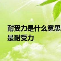 耐受力是什么意思 什么是耐受力