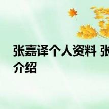 张嘉译个人资料 张嘉译介绍