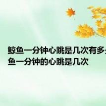 鲸鱼一分钟心跳是几次有多少次 鲸鱼一分钟的心跳是几次