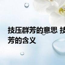 技压群芳的意思 技压群芳的含义
