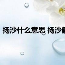 扬沙什么意思 扬沙解释