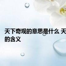 天下奇观的意思是什么 天下奇观的含义