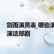 剑雨演员表 哪些演员出演这部剧