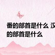 番的部首是什么 汉字番的部首是什么