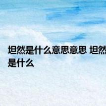 坦然是什么意思意思 坦然的意思是什么