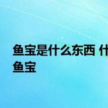 鱼宝是什么东西 什么是鱼宝