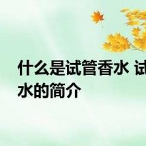 什么是试管香水 试管香水的简介