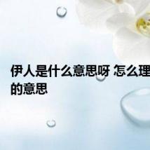 伊人是什么意思呀 怎么理解伊人的意思
