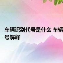 车辆识别代号是什么 车辆识别代号解释