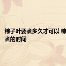 粽子叶要煮多久才可以 粽子叶要煮的时间
