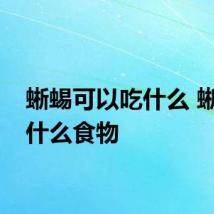 蜥蜴可以吃什么 蜥蜴吃什么食物