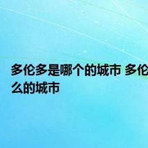 多伦多是哪个的城市 多伦多是什么的城市