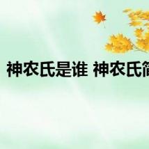 神农氏是谁 神农氏简介