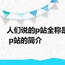 人们说的p站全称是什么 p站的简介