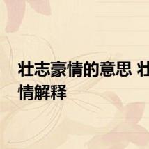 壮志豪情的意思 壮志豪情解释
