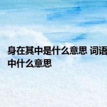 身在其中是什么意思 词语身在其中什么意思