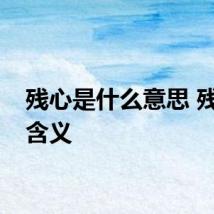残心是什么意思 残心的含义