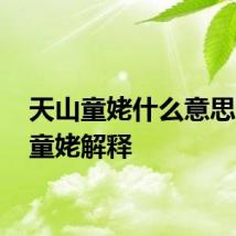 天山童姥什么意思 天山童姥解释
