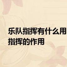 乐队指挥有什么用 乐队指挥的作用