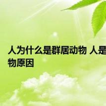 人为什么是群居动物 人是群居动物原因