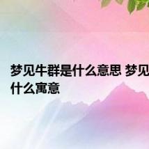 梦见牛群是什么意思 梦见牛群是什么寓意