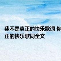 我不是真正的快乐歌词 你不是真正的快乐歌词全文