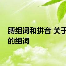 膊组词和拼音 关于膊字的组词