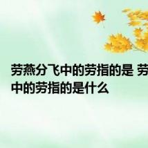 劳燕分飞中的劳指的是 劳燕分飞中的劳指的是什么