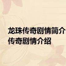 龙珠传奇剧情简介 龙珠传奇剧情介绍