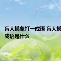 盲人摸象打一成语 盲人摸象打一成语是什么