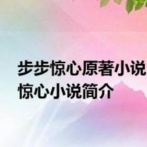 步步惊心原著小说 步步惊心小说简介