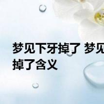 梦见下牙掉了 梦见下牙掉了含义