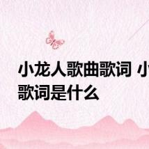 小龙人歌曲歌词 小龙人歌词是什么