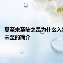 夏至未至陆之昂为什么入狱 夏至未至的简介
