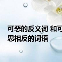 可恶的反义词 和可恶意思相反的词语