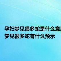 孕妇梦见很多蛇是什么意思 孕妇梦见很多蛇有什么预示